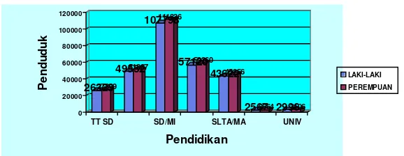 Grafik Tingkat Pendidikan Penduduk Laki-Laki 