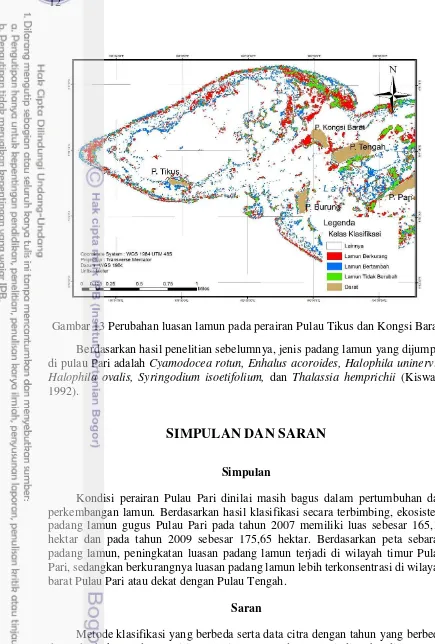Gambar 13 Perubahan luasan lamun pada perairan Pulau Tikus dan Kongsi Barat 