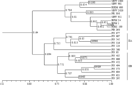 Figure 2. Dendogram of genetic relationship among 25 rubber clones from the Wickham and IRRDB 1981 populations generated usingthe UPGMA method.