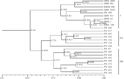 Figure 2. Dendogram of genetic relationship among 25 rubber clones from the Wickham and IRRDB 1981 populations generated usingthe UPGMA method.