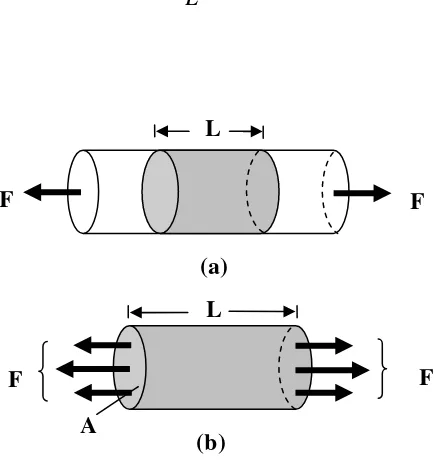 Gambar 2.2. (a) Batang tegar yang dipengaruhi gaya tarik F. (b) Elemen kecil batang (Tipler, 1998) 