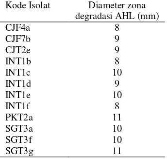 Tabel 2 Diameter zona degradasi AHL 12 