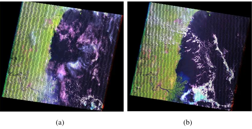Gambar 3  Citra satelit landsat path/row 116/60 tahun 2006 (a) dan 2009 (b). 