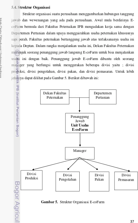Gambar 5.  Struktur Organisasi E-coFarm 