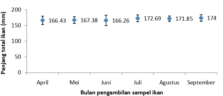 Gambar 6. Panjang total ikan banban (rata-rata ± SD) pada bulan April –September 2009 