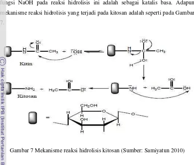 Gambar 7 Mekanisme reaksi hidrolisis kitosan (Sumber: Samiyatun 2010) 