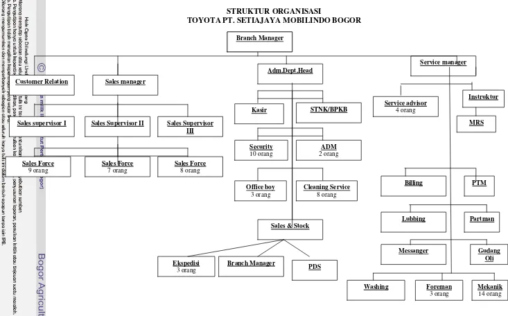 Gambar 11. Struktur Organisasi Pada Toyota PT. Setiajaya Mobilindo 