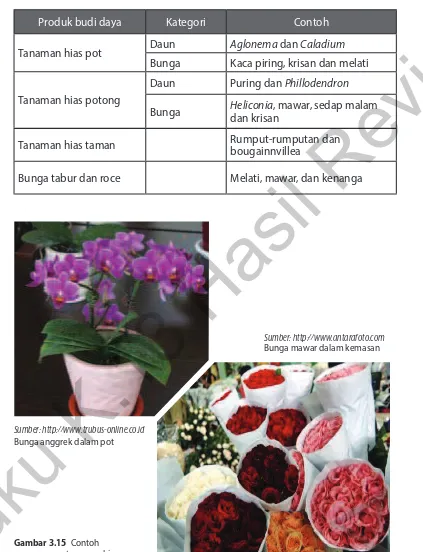 Tabel 3.1 Berbagai contoh tanaman hias dan produk budi daya