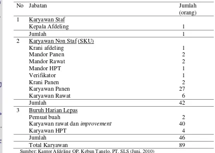Tabel 3. Jumlah Karyawan Afdeling OP, Kebun Tanglo Tahun 2010 