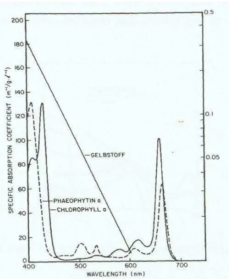 Gambar 3 . Kurva karakteristik absorbansi klorofil-a  (Maul, 1985 in Prasasti et al., 2005) 