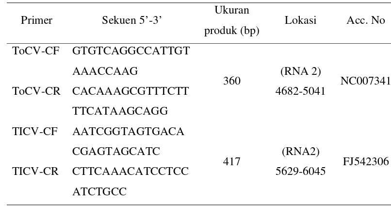 Tabel 3  Oligonukleotida primer yang digunakan dalam PCR untuk meng- amplifikasi virus ToCV dan TICV secara terpisah 