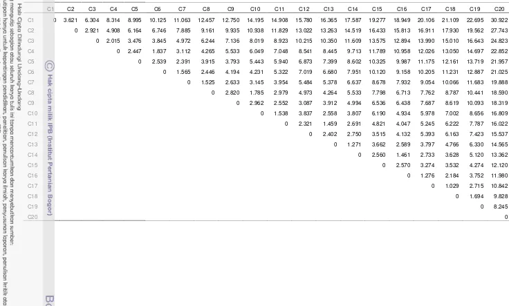 Tabel 10  Matrik Jarak Euclidean 20 kelas citra ALOS PALSAR resolusi 50 meter 