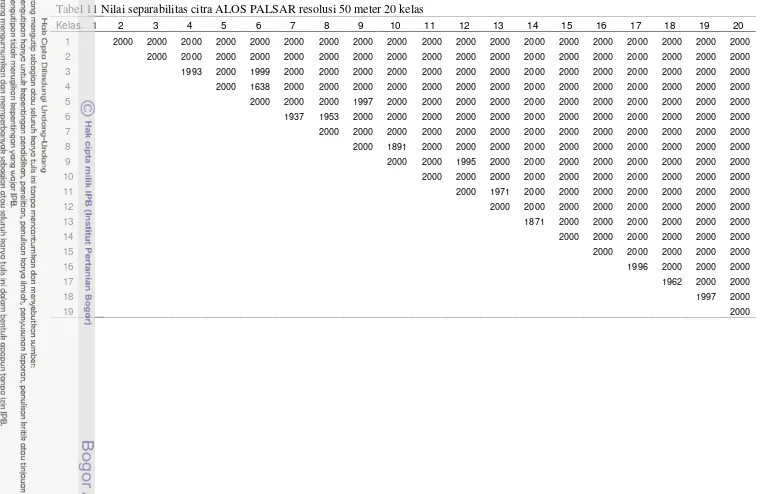 Tabel 11 Nilai separabilitas citra ALOS PALSAR resolusi 50 meter 20 kelas 