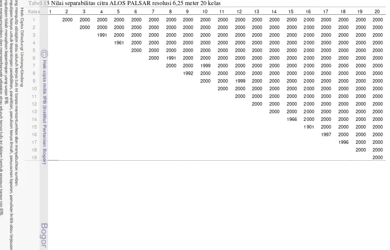 Tabel 15 Nilai separabilitas citra ALOS PALSAR resolusi 6,25 meter 20 kelas 
