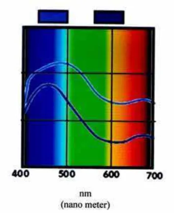 Gambar 2.2 kurva hubungan panjang gelombang dan warna 