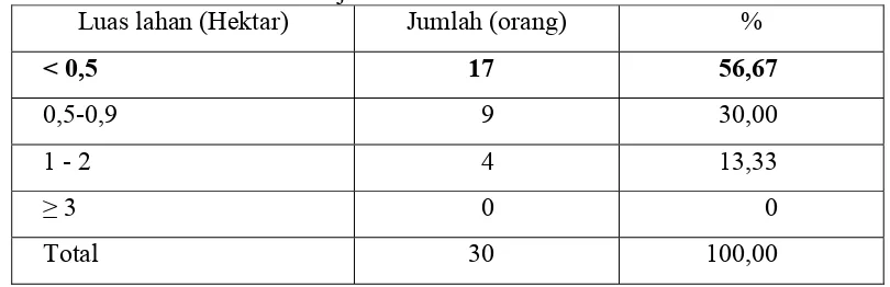 Tabel 14.  Sebaran Responden Menurut Luas Lahan Garapan Petani Padi Hibrida di Kecamatan Cianjur Tahun 2010 