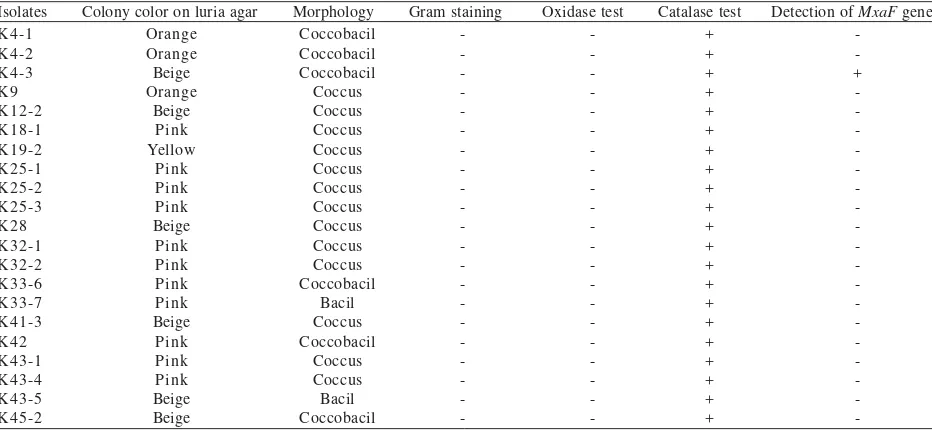 Table 1. The biochemical properties and characteristics of the isolates obtained from human feet