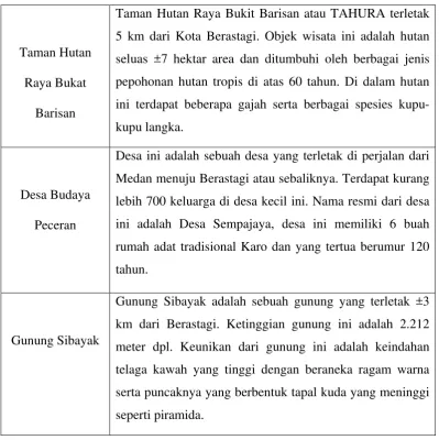 tabel karakteristik responden dalam penelitian ini: 