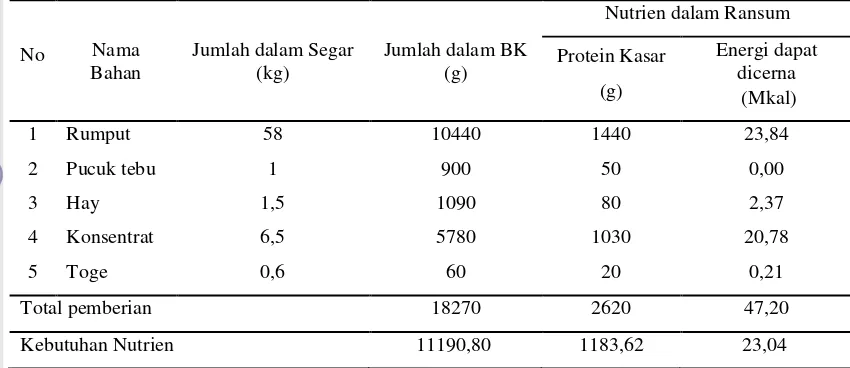 Gambar 2.  Sapi Brahman 