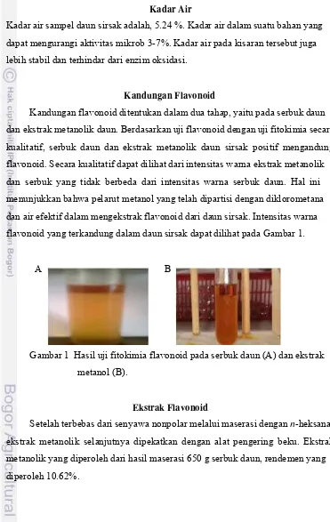 Gambar 1  Hasil uji fitokimia flavonoid pada serbuk daun (A) dan ekstrak 