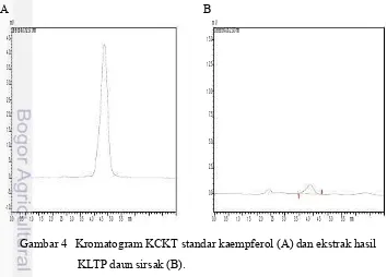 Gambar 4   Kromatogram KCKT standar kaempferol (A) dan ekstrak hasil 