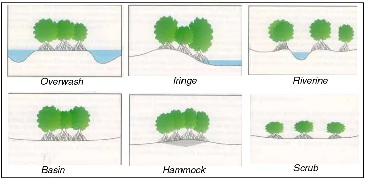 Gambar 2  Tipe komunitas  mangrove (Lugo dan Snedaker, 1974 dan Tomascik  et al , 1997) 