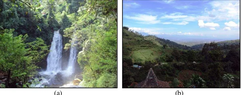 Gambar 6  (a) Air terjun kembar Cinulang, (b) Pemandangan alam. 