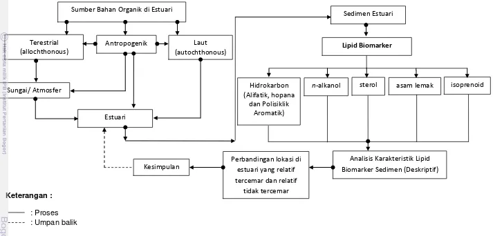 Gambar 1  Skema pendekatan masalah. 