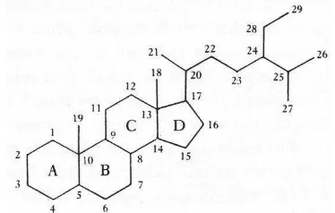 Gambar 10  Struktur molekuler steroid (Killops & Killops 1993). 