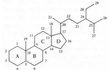 Gambar 10  Struktur molekuler steroid (Killops & Killops 1993). 