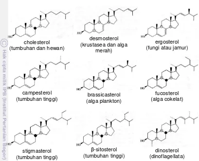 Gambar 11  Struktur molekuler sterol dan sumbernya (Killops & Killops 1993). 
