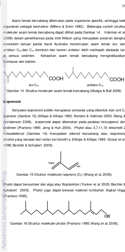 Gambar 16 Struktur molekuler phytol (Prartono 1995; Wang et al. 2006). 