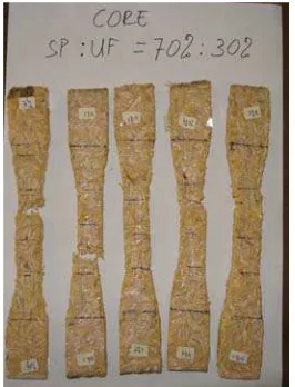 Gambar 40a. Core SP:UF=70%:30%          Gambar 40b. Core SP:UF= 60%:40% 