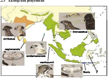 Gambar 3  Lokasi penyebaran jenis Spizaetus cirrhatus (Ferguson & David 2005) 