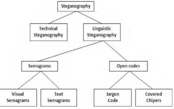 Gambar 2.3 Proses Steganografi 