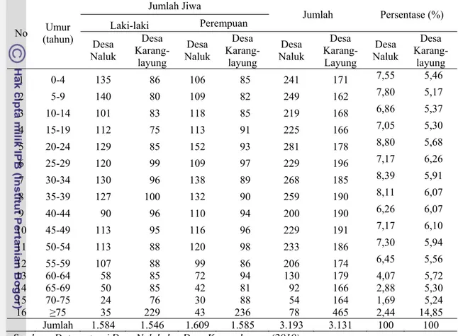 Tabel 4  Klasifikasi penduduk Desa Naluk dan Desa Karanglayung berdasarkan   umur   No  Umur  (tahun)  Jumlah Jiwa  Jumlah Persentase  (%) Laki-laki Perempuan  Desa  Naluk  Desa   Karang-layung  Desa  Naluk  Desa  Karang- layung  Desa  Naluk  Desa  Karang-