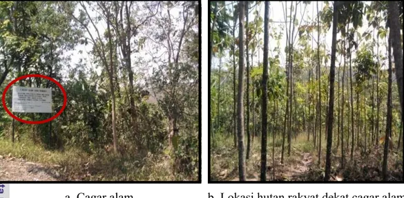 Tabel 21  Tingkatan persepsi responden terhadap manfaat ekologi pengelolaan  hutan rakyat  