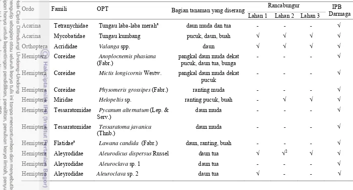 Tabel 3  Organisme pengganggu tanaman pada tanaman jambu biji di Rancabungur dan kampus IPB Darmaga, Bogor 