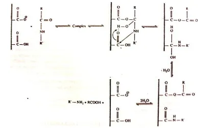 Gambar 5. Reaksi pemecahan ikatan peptida oleh enzim pepsin menghasilkan asam amino (Naz 2002) 