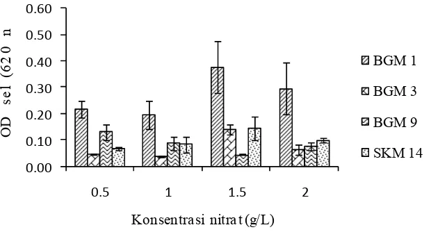 Gambar 3 Pertumbuhan sel kultur selama 14 hari pada media NMS cairdengan empat perlakuan konsentrasi nitrat.