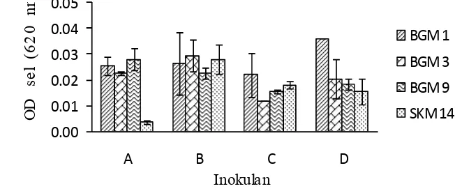 Gambar 5 Pertumbuhan isolat bakteri metanotrof yang berasal dari inokulankultur  konsentrasi nitrat berbeda selama 12 hari inkubasi dengansumber karbon metan