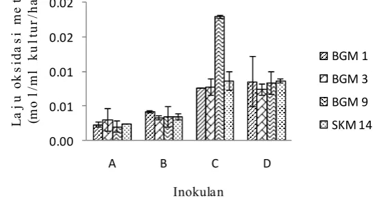 Gambar 7 Aktivitas oksidasi metan pada konsentrasi nitrat  yang berbeda. A:inokulan yang diproduksi dengan nitrat 0,5 g/L, B: inokulan yangdiproduksi dengan nitrat 1 g/L, C: inokulan yang diproduksi dengannitrat 1,5 g/L, D: inokulan yang diproduksi dengan nitrat 2 g/L.