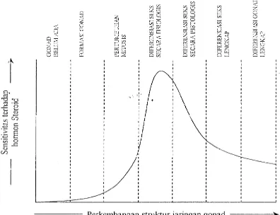 Gambar 2.  Sensitivitas tahapan diferensiasi kelamin terhadap hormon  steroid pada teleostei (Piferrer 2001) 