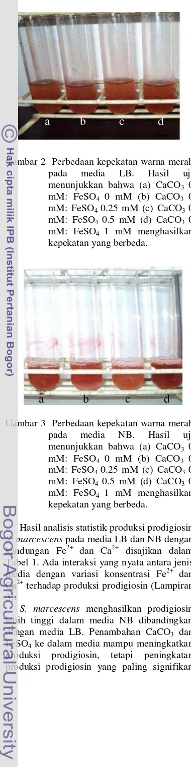 Gambar 2  Perbedaan kepekatan warna merah 