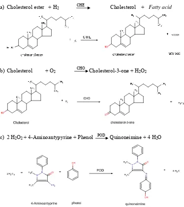 Gambar 1. Reaksi Metode CHOD-PAP(DiaSys, 2014; Allain et al., 1974) 