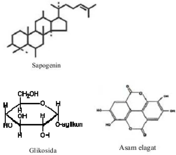 Gambar 2. Struktur kimia senyawa sapogenin, glikosida dan asam elagat. 