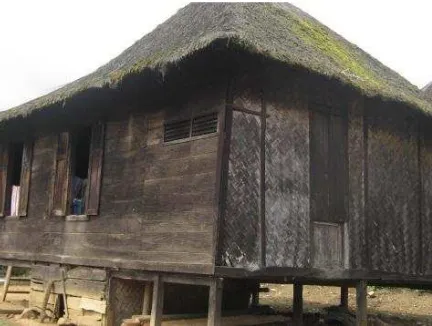 Gambar 7 Rumah masyarakat desa Padang Bujur. 