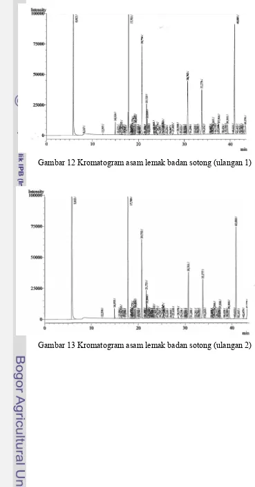 Gambar 12 Kromatogram asam lemak badan sotong (ulangan 1) 