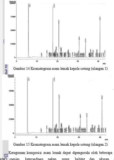 Gambar 14 Kromatogram asam lemak kepala sotong (ulangan 1) 