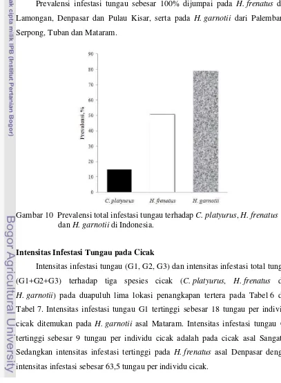 Gambar 10  Prevalensi total infestasi tungau terhadap C. platyurus, H. frenatus 